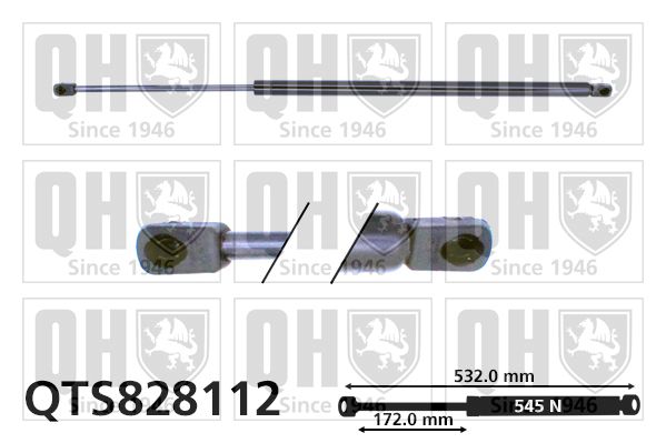 QUINTON HAZELL Газовая пружина, крышка багажник QTS828112